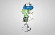 Globe Control Valves