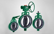 Integrally Moulded Butterfly Valve