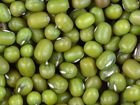 Green Mung Beans