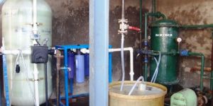 Soft Water Plant