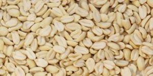 Roasted White Blanched Split Peanut