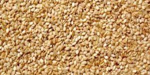 Sesame Seeds