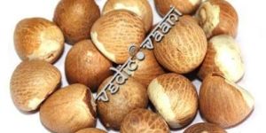Betelnut