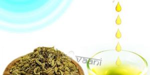 Fennel Sweet Oil