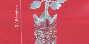 German Silver Tulsi Plant