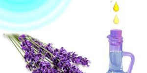 Lavender Oil
