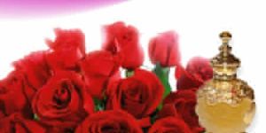 Rose Attar