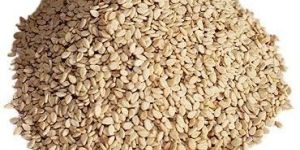 White Sesame Seed