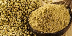 Coriander Powder