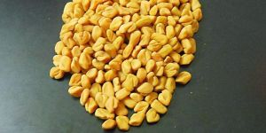 Fenugreek