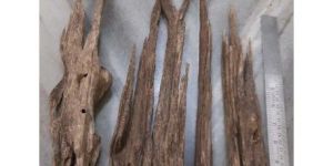 Agarwood for Decoration and Gift