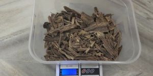 Oudh Chips