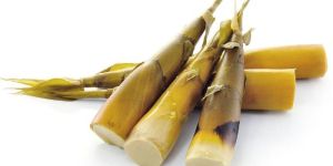 Bamboo Shoot