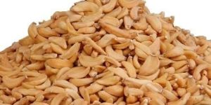 Dehydrated Garlic Cloves