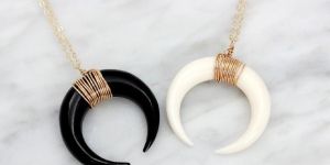 Horn & bone nacklace