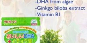 DHA Ginko Biloba Gummies Healthy Food Snacks
