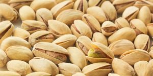 Pistachio