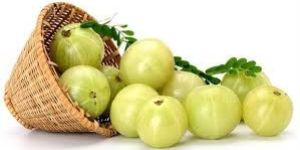 Fresh Amla