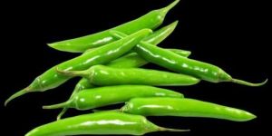 Fresh Green Chilli