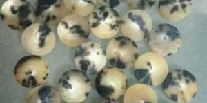 Black and White Color Horn Button