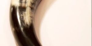 Drinking Horns