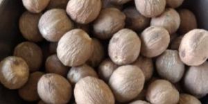 Nutmeg