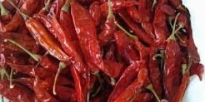 Dry Red Chilly