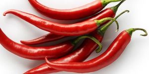 Fresh Red Chilli