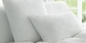 Plain Pillows