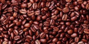 Cocoa Beans