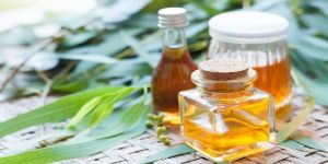 Eucalyptus Oil
