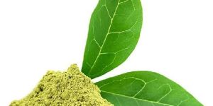 Gymnema Sylvestre Extract