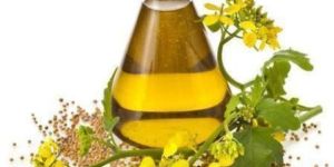 Palmarosa Essential Oil
