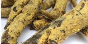 Salacia Reticulata Roots