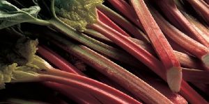 Rhubarb