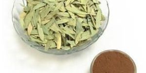 Senna Leaves & Extracts
