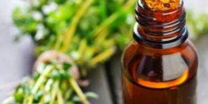Thymol Essential Oil