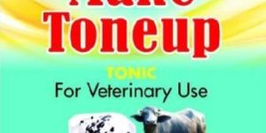 Make Toneup Veterinary Tonic
