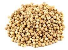 Coriander Seeds