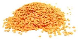 Split Red Lentils