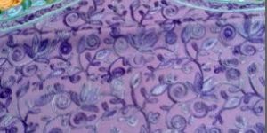 Kashmiri Kadhai (Embroidery)