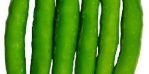 UN Tarak F1 Hotpepper Seeds