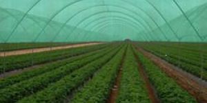 Agro Shed Net