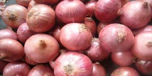 Fresh Onion
