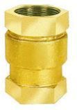 Vertical Check Valve