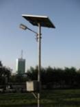 CFL Street Light