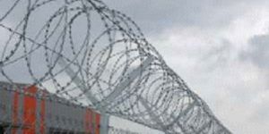 Concertina Razor Wire
