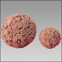 Crazy Ball