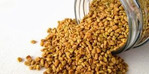 Fenugreek Seeds