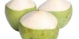 Tender Coconut